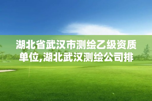 湖北省武漢市測繪乙級資質單位,湖北武漢測繪公司排行榜