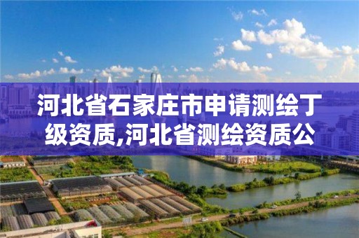 河北省石家莊市申請測繪丁級資質(zhì),河北省測繪資質(zhì)公示