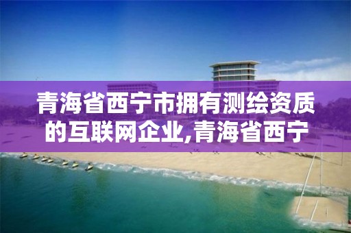 青海省西寧市擁有測繪資質的互聯網企業,青海省西寧市測繪院