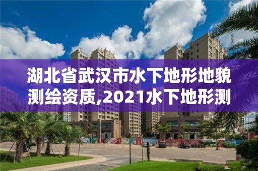 湖北省武漢市水下地形地貌測繪資質(zhì),2021水下地形測量招標(biāo)