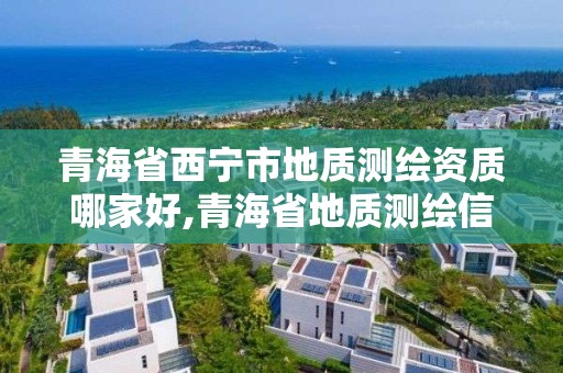 青海省西寧市地質測繪資質哪家好,青海省地質測繪信息院好嗎