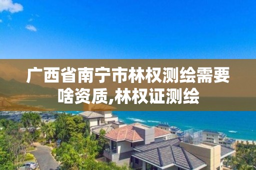 廣西省南寧市林權測繪需要啥資質,林權證測繪