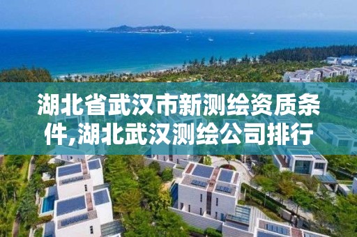 湖北省武漢市新測繪資質條件,湖北武漢測繪公司排行榜