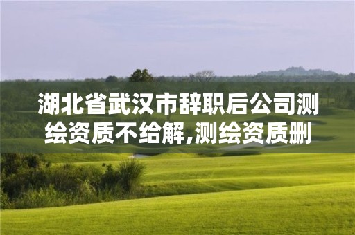 湖北省武漢市辭職后公司測繪資質不給解,測繪資質刪除離職人員。