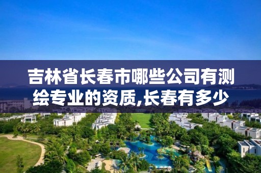 吉林省長春市哪些公司有測繪專業的資質,長春有多少家測繪公司。