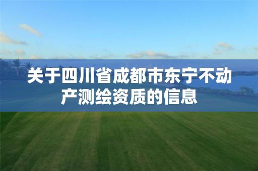 關于四川省成都市東寧不動產測繪資質的信息