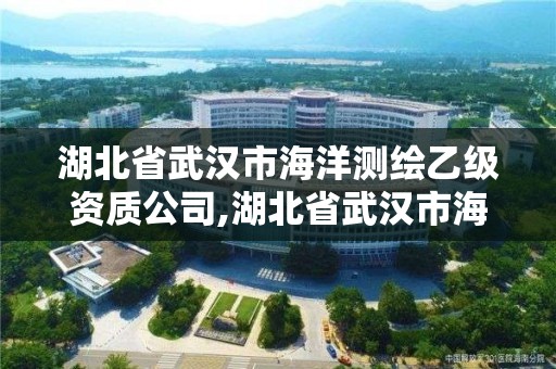 湖北省武漢市海洋測繪乙級資質公司,湖北省武漢市海洋測繪乙級資質公司有哪些