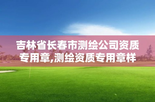 吉林省長春市測繪公司資質專用章,測繪資質專用章樣式圖