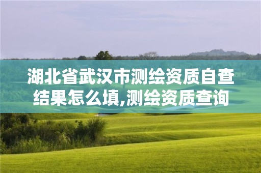 湖北省武漢市測繪資質(zhì)自查結(jié)果怎么填,測繪資質(zhì)查詢監(jiān)管平臺。