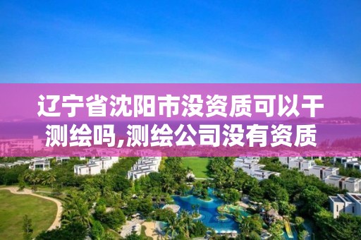 遼寧省沈陽市沒資質可以干測繪嗎,測繪公司沒有資質可以開發票嗎