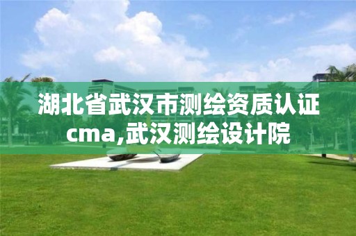 湖北省武漢市測繪資質認證cma,武漢測繪設計院