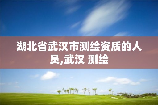 湖北省武漢市測繪資質的人員,武漢 測繪