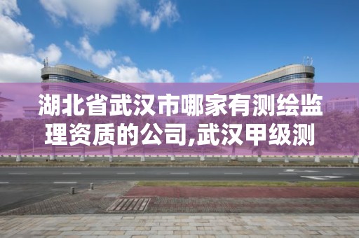 湖北省武漢市哪家有測繪監理資質的公司,武漢甲級測繪資質公司