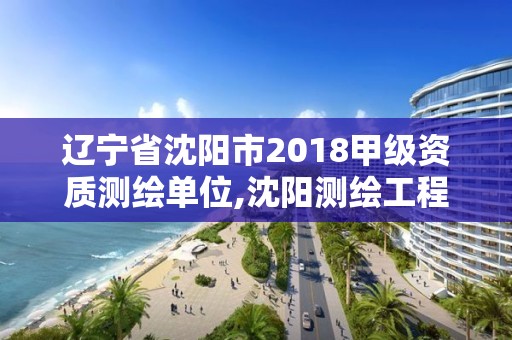 遼寧省沈陽市2018甲級(jí)資質(zhì)測(cè)繪單位,沈陽測(cè)繪工程