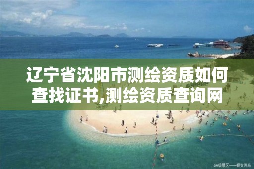 遼寧省沈陽市測繪資質如何查找證書,測繪資質查詢網站