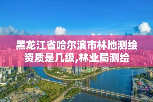 黑龍江省哈爾濱市林地測繪資質(zhì)是幾級,林業(yè)局測繪