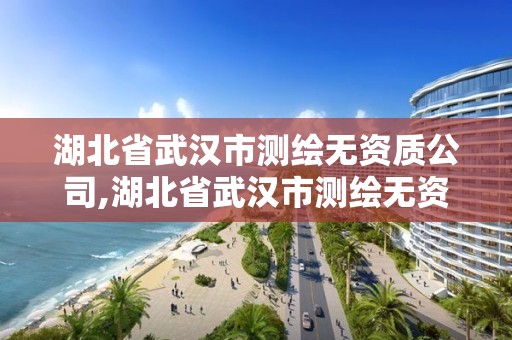 湖北省武漢市測繪無資質(zhì)公司,湖北省武漢市測繪無資質(zhì)公司有哪些