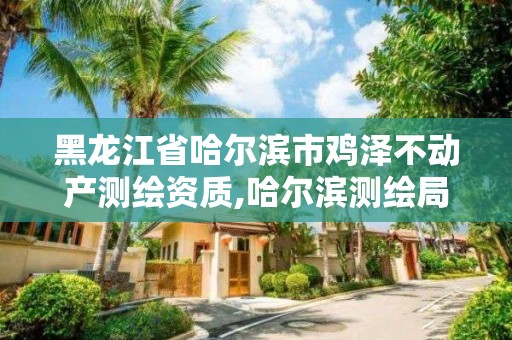 黑龍江省哈爾濱市雞澤不動產測繪資質,哈爾濱測繪局怎么樣。