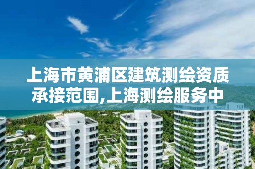 上海市黃浦區建筑測繪資質承接范圍,上海測繪服務中心