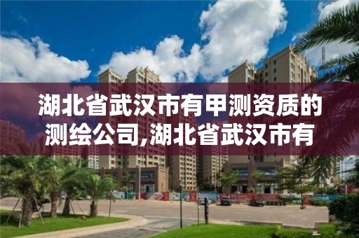 湖北省武漢市有甲測資質的測繪公司,湖北省武漢市有甲測資質的測繪公司有幾家。