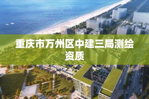 重慶市萬州區中建三局測繪資質