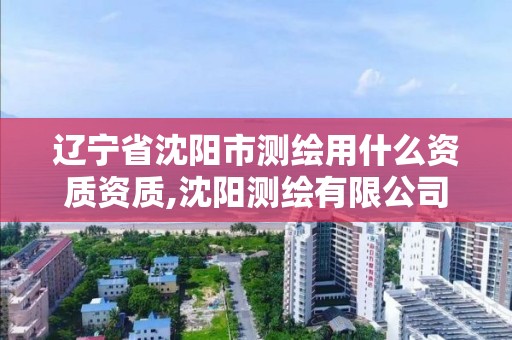 遼寧省沈陽市測繪用什么資質資質,沈陽測繪有限公司