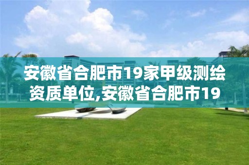 安徽省合肥市19家甲級(jí)測(cè)繪資質(zhì)單位,安徽省合肥市19家甲級(jí)測(cè)繪資質(zhì)單位名單