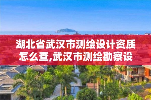 湖北省武漢市測繪設計資質怎么查,武漢市測繪勘察設計甲級資質公司