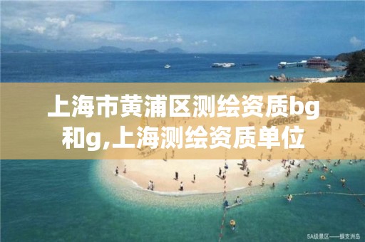 上海市黃浦區測繪資質bg和g,上海測繪資質單位