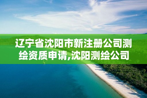 遼寧省沈陽市新注冊公司測繪資質申請,沈陽測繪公司哪家強哪家好