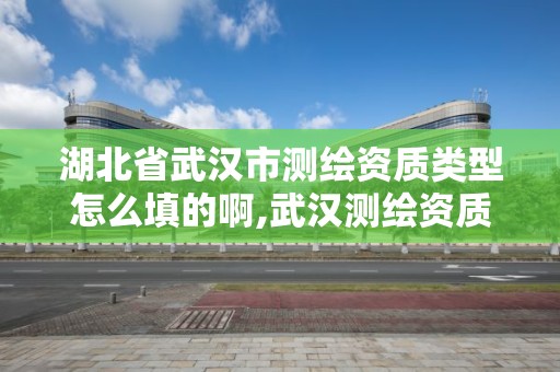 湖北省武漢市測繪資質類型怎么填的啊,武漢測繪資質代辦。