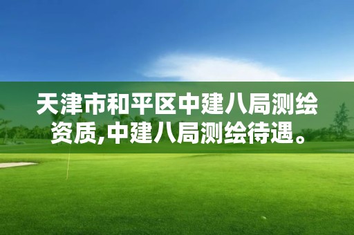 天津市和平區中建八局測繪資質,中建八局測繪待遇。