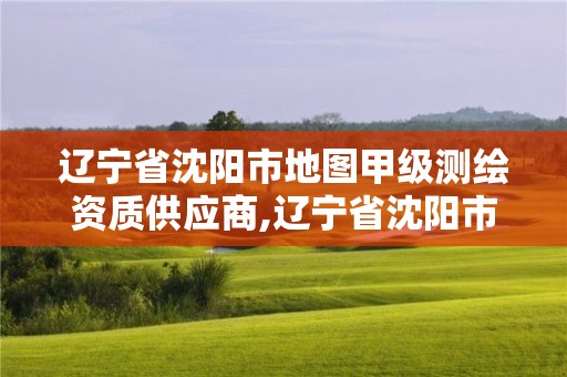 遼寧省沈陽市地圖甲級測繪資質供應商,遼寧省沈陽市地圖甲級測繪資質供應商名單。