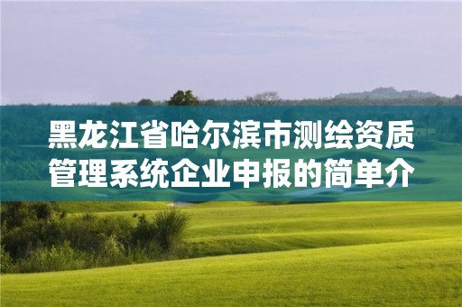 黑龍江省哈爾濱市測繪資質管理系統企業申報的簡單介紹