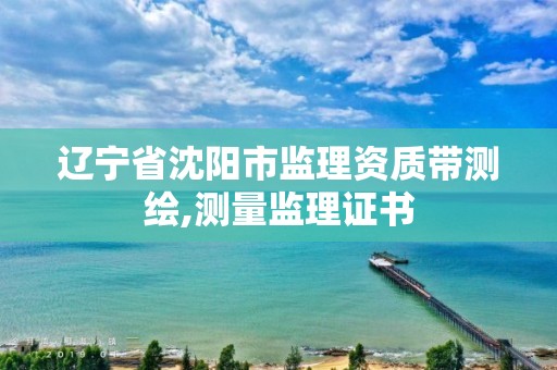 遼寧省沈陽市監理資質帶測繪,測量監理證書