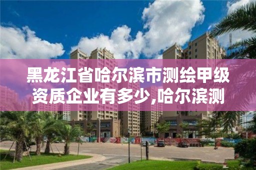 黑龍江省哈爾濱市測繪甲級資質企業有多少,哈爾濱測繪有限公司