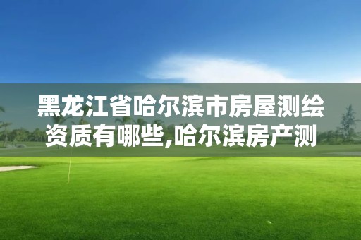 黑龍江省哈爾濱市房屋測繪資質(zhì)有哪些,哈爾濱房產(chǎn)測繪公司