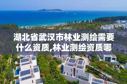 湖北省武漢市林業測繪需要什么資質,林業測繪資質哪里辦理