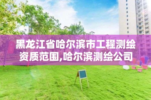 黑龍江省哈爾濱市工程測繪資質范圍,哈爾濱測繪公司哪家好