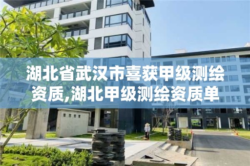 湖北省武漢市喜獲甲級測繪資質,湖北甲級測繪資質單位