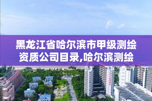 黑龍江省哈爾濱市甲級測繪資質公司目錄,哈爾濱測繪院地址