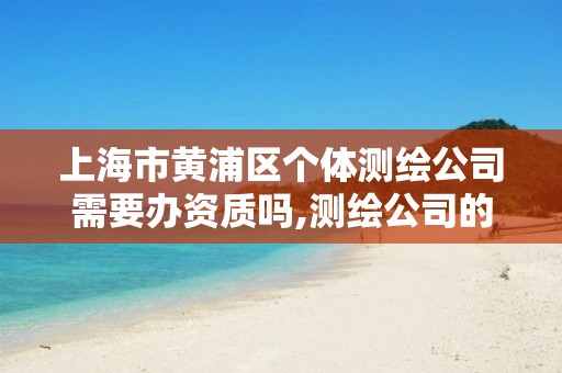 上海市黃浦區個體測繪公司需要辦資質嗎,測繪公司的資質去哪里申請。