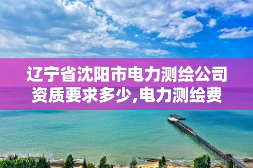 遼寧省沈陽市電力測繪公司資質要求多少,電力測繪費收費標準。