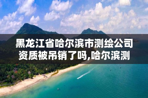 黑龍江省哈爾濱市測繪公司資質被吊銷了嗎,哈爾濱測繪勘察研究院怎么樣。