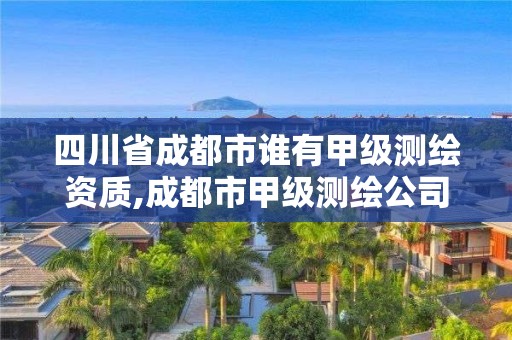 四川省成都市誰有甲級測繪資質(zhì),成都市甲級測繪公司