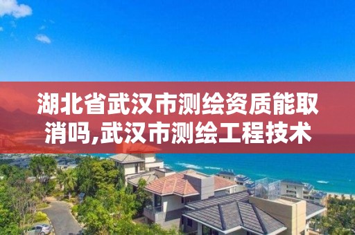 湖北省武漢市測繪資質能取消嗎,武漢市測繪工程技術規定