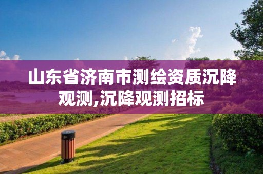 山東省濟南市測繪資質沉降觀測,沉降觀測招標