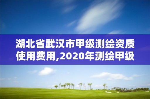 湖北省武漢市甲級測繪資質使用費用,2020年測繪甲級資質條件。