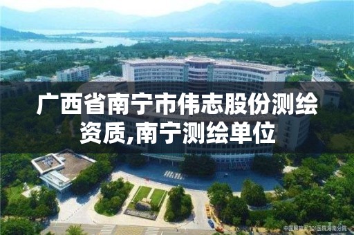 廣西省南寧市偉志股份測繪資質,南寧測繪單位