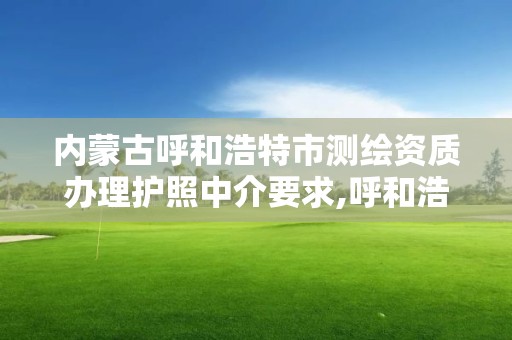 內蒙古呼和浩特市測繪資質辦理護照中介要求,呼和浩特市測繪局地址。